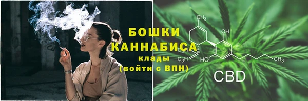 индика Пересвет