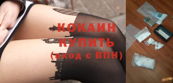 шишки Осинники