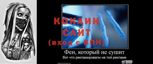 шишки Осинники