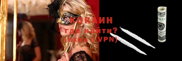 индика Пересвет