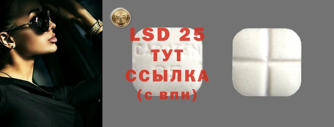 шишки Осинники