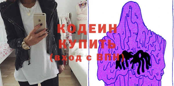 шишки Осинники