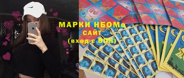 индика Пересвет