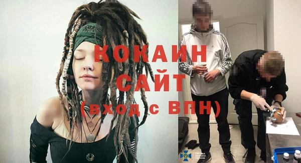 индика Пересвет