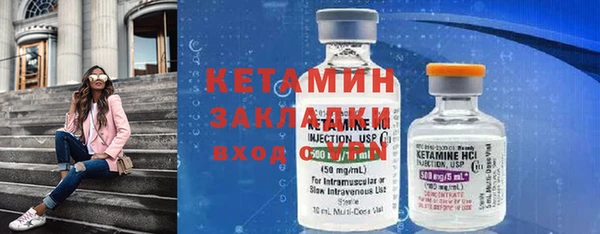шишки Осинники