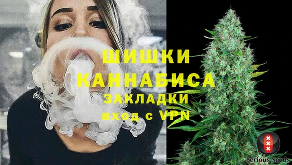 шишки Осинники