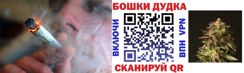 сколько стоит  Кировград  Бошки марихуана планчик 